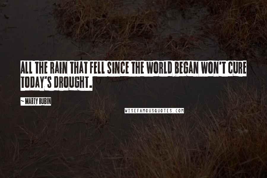 Marty Rubin Quotes: All the rain that fell since the world began won't cure today's drought.