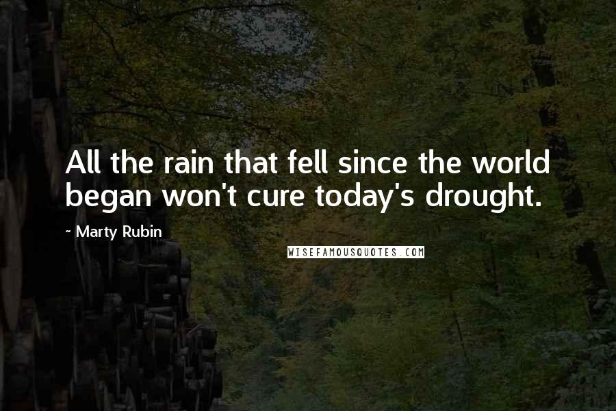 Marty Rubin Quotes: All the rain that fell since the world began won't cure today's drought.