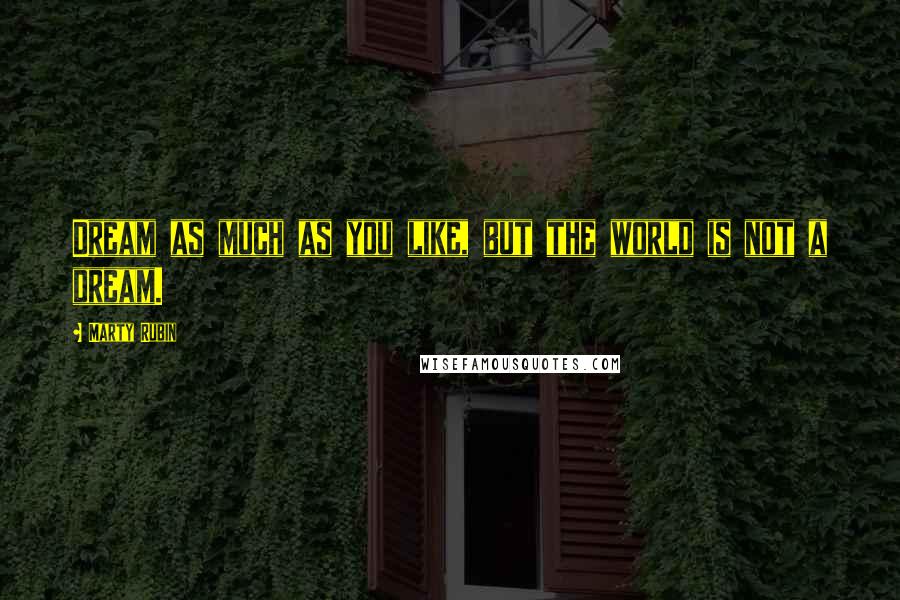 Marty Rubin Quotes: Dream as much as you like, but the world is not a dream.