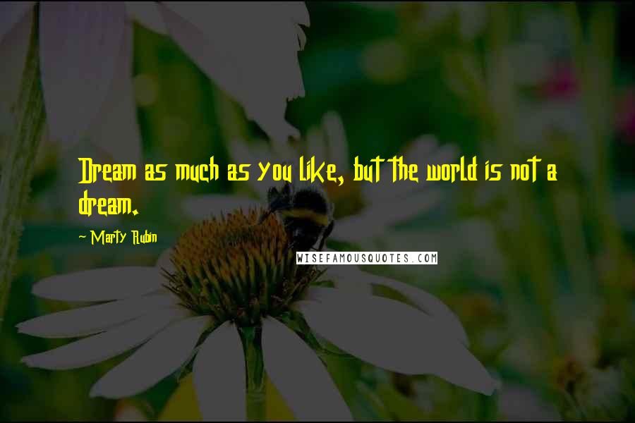 Marty Rubin Quotes: Dream as much as you like, but the world is not a dream.