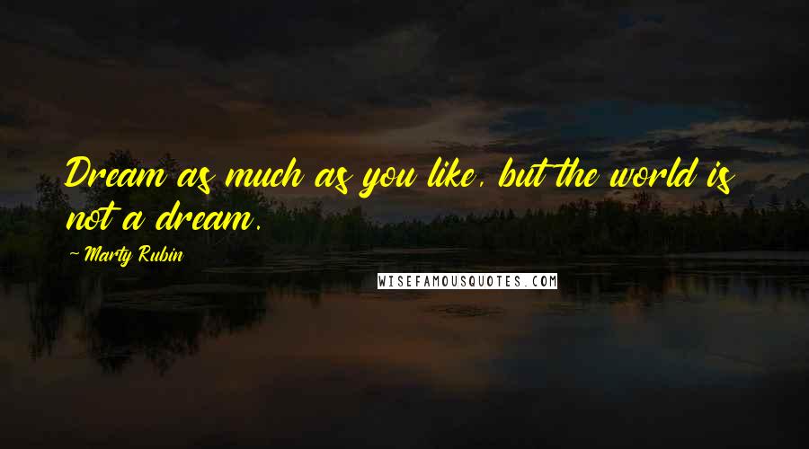 Marty Rubin Quotes: Dream as much as you like, but the world is not a dream.