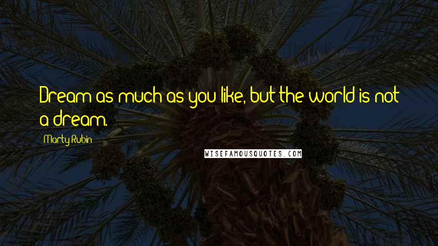 Marty Rubin Quotes: Dream as much as you like, but the world is not a dream.