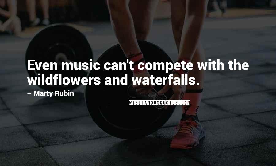 Marty Rubin Quotes: Even music can't compete with the wildflowers and waterfalls.