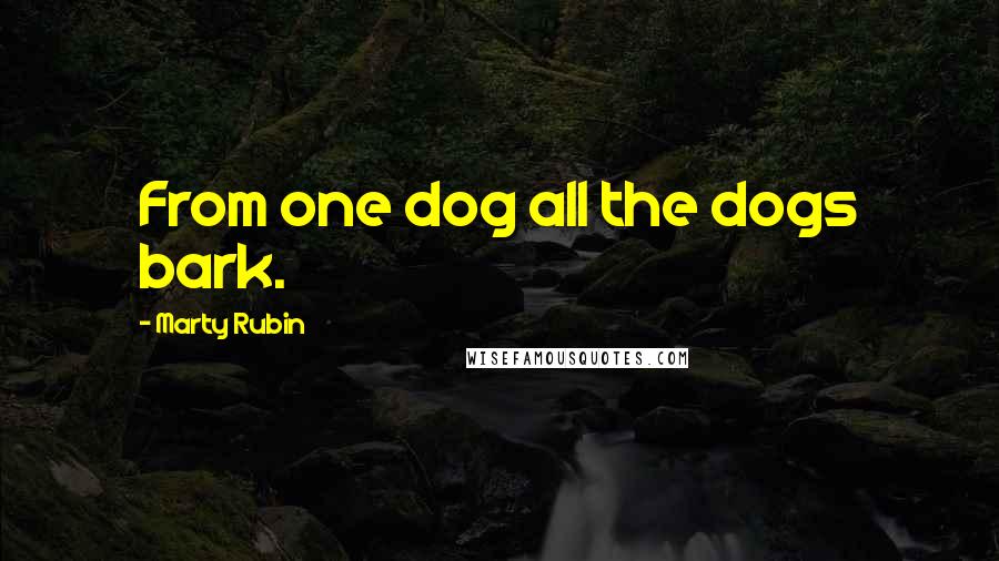 Marty Rubin Quotes: From one dog all the dogs bark.