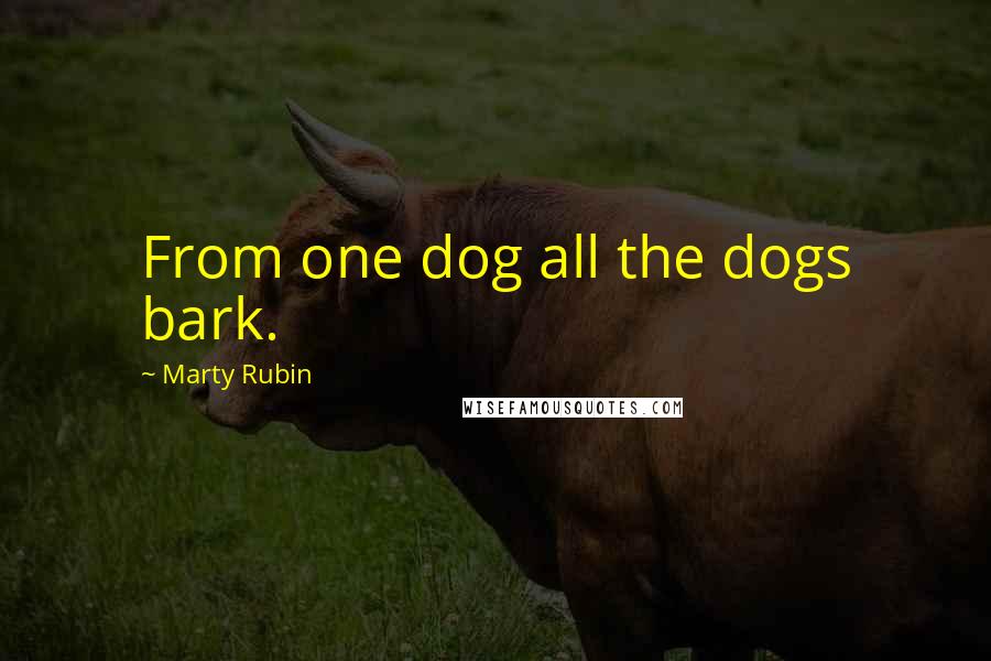 Marty Rubin Quotes: From one dog all the dogs bark.