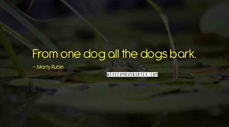 Marty Rubin Quotes: From one dog all the dogs bark.