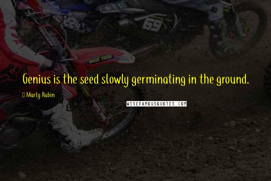 Marty Rubin Quotes: Genius is the seed slowly germinating in the ground.