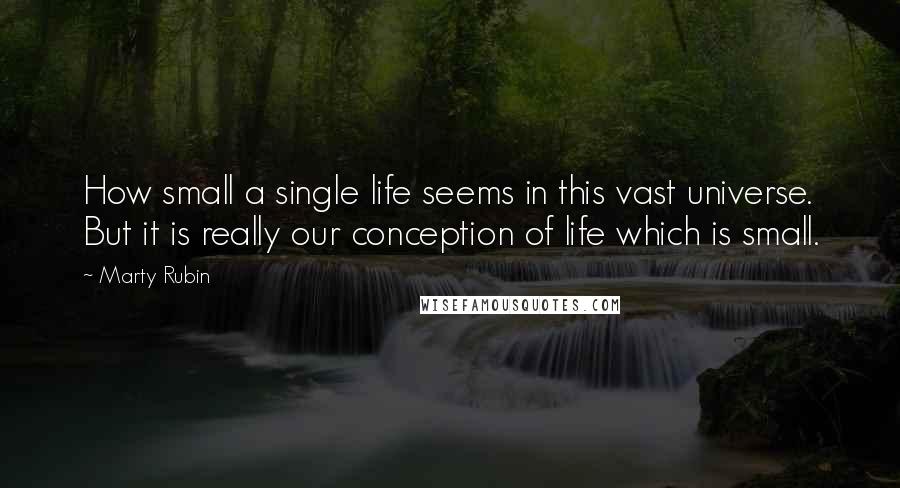 Marty Rubin Quotes: How small a single life seems in this vast universe. But it is really our conception of life which is small.
