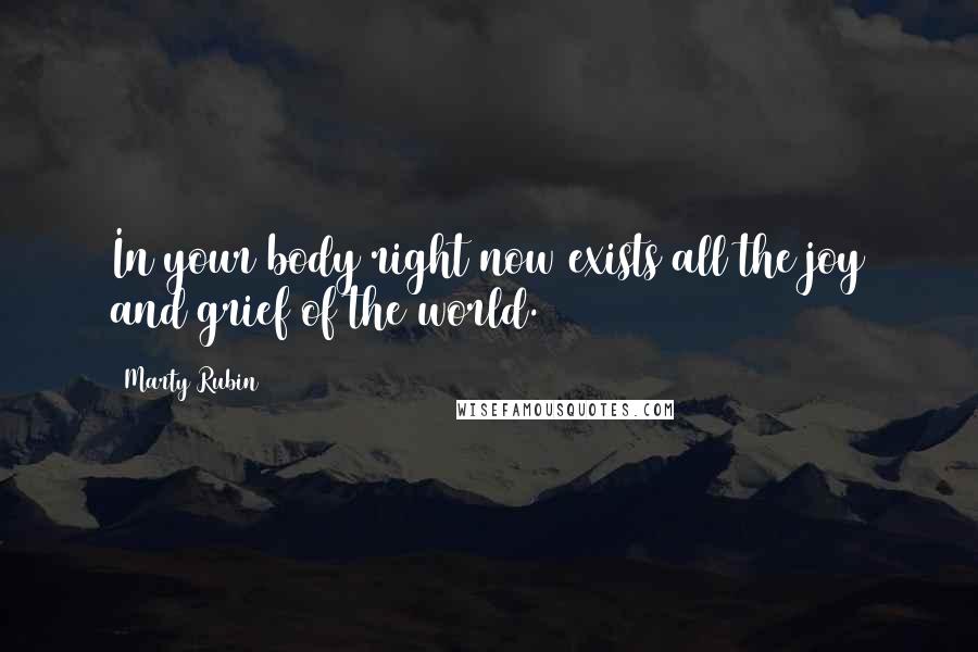 Marty Rubin Quotes: In your body right now exists all the joy and grief of the world.