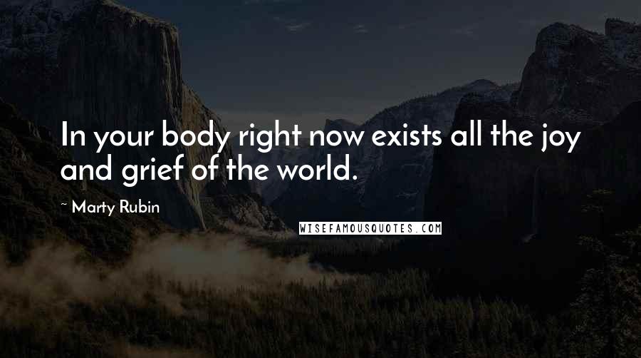 Marty Rubin Quotes: In your body right now exists all the joy and grief of the world.