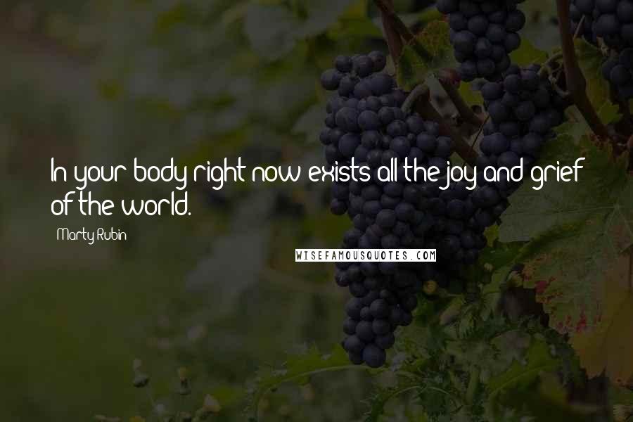 Marty Rubin Quotes: In your body right now exists all the joy and grief of the world.