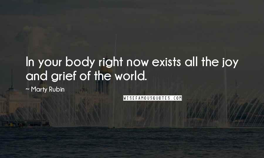 Marty Rubin Quotes: In your body right now exists all the joy and grief of the world.