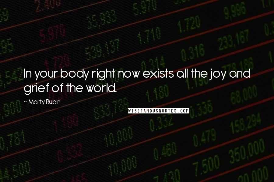 Marty Rubin Quotes: In your body right now exists all the joy and grief of the world.