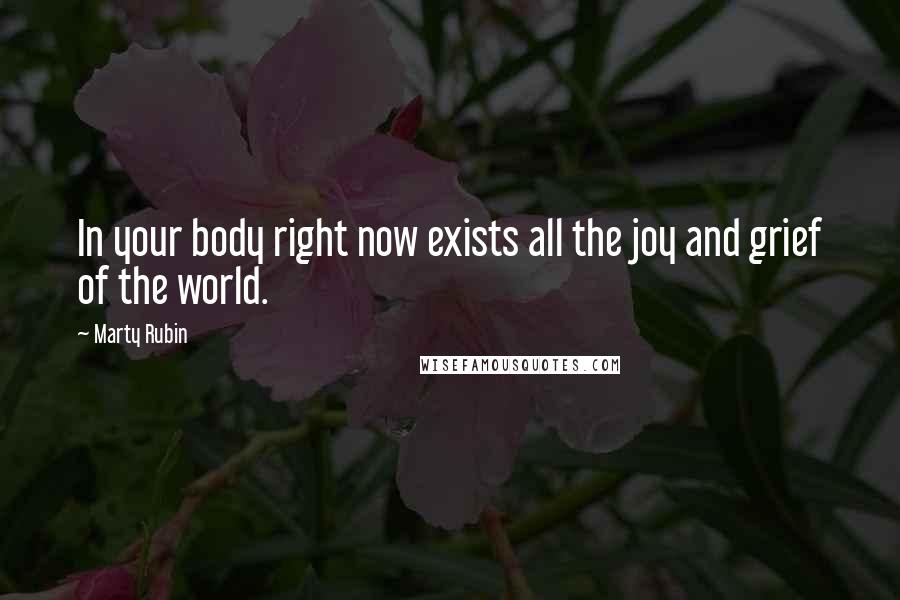 Marty Rubin Quotes: In your body right now exists all the joy and grief of the world.