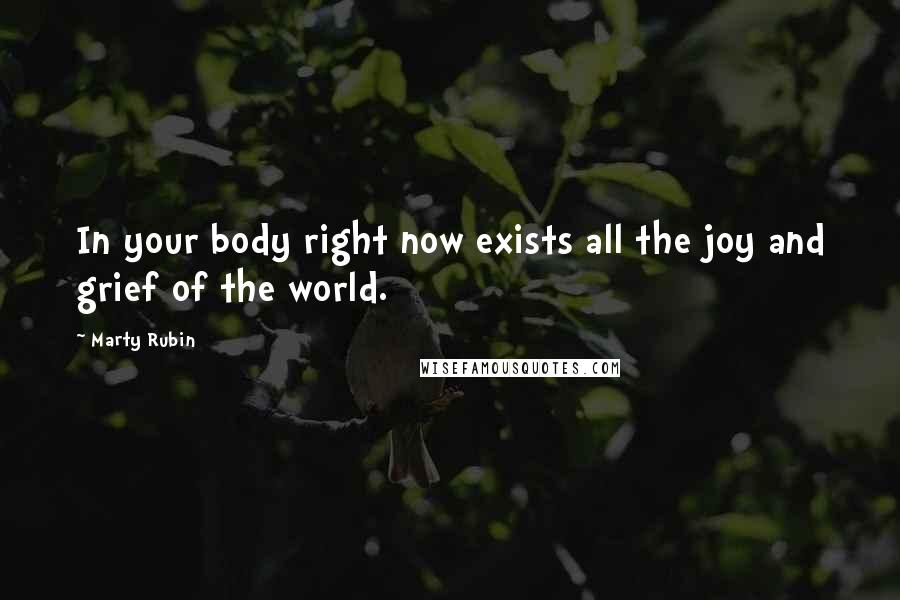 Marty Rubin Quotes: In your body right now exists all the joy and grief of the world.