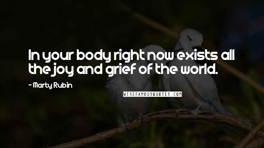Marty Rubin Quotes: In your body right now exists all the joy and grief of the world.