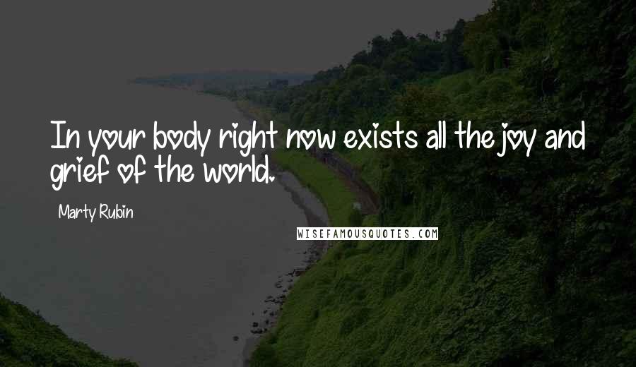 Marty Rubin Quotes: In your body right now exists all the joy and grief of the world.