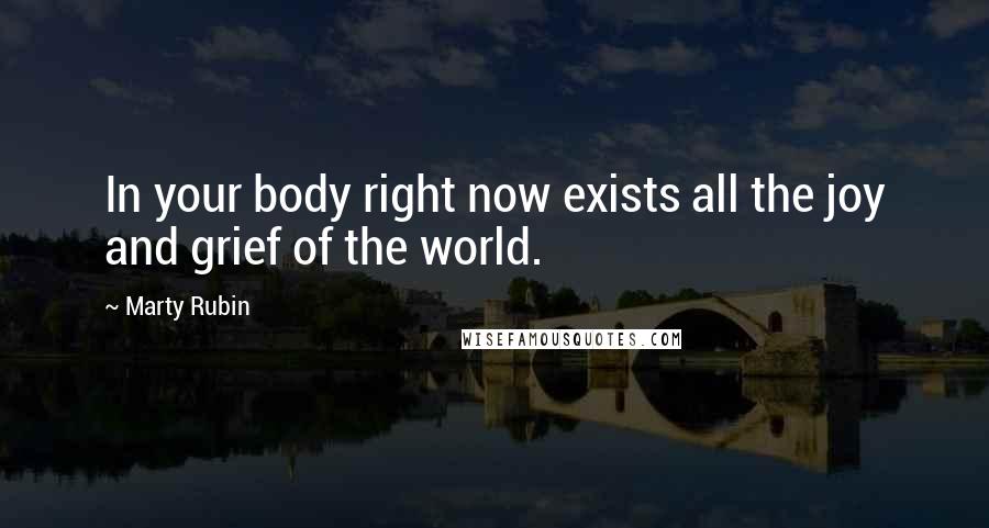 Marty Rubin Quotes: In your body right now exists all the joy and grief of the world.