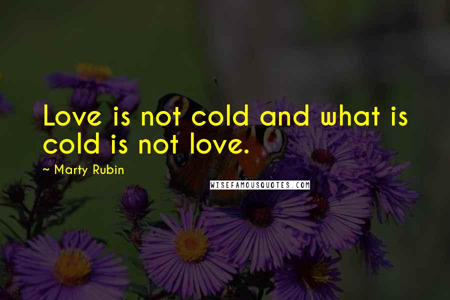 Marty Rubin Quotes: Love is not cold and what is cold is not love.
