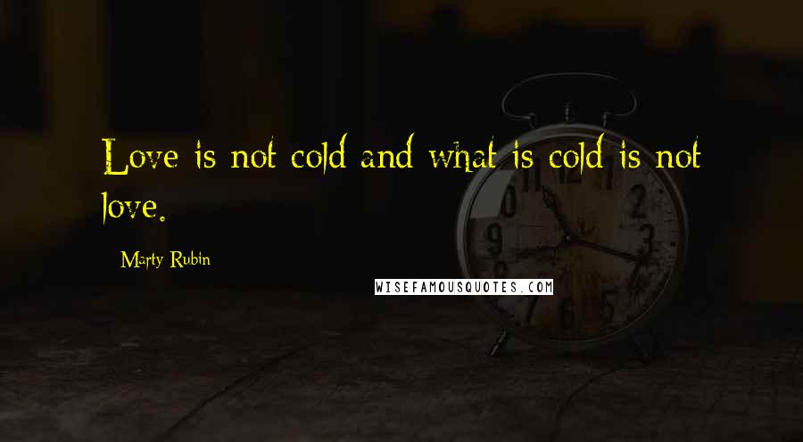 Marty Rubin Quotes: Love is not cold and what is cold is not love.