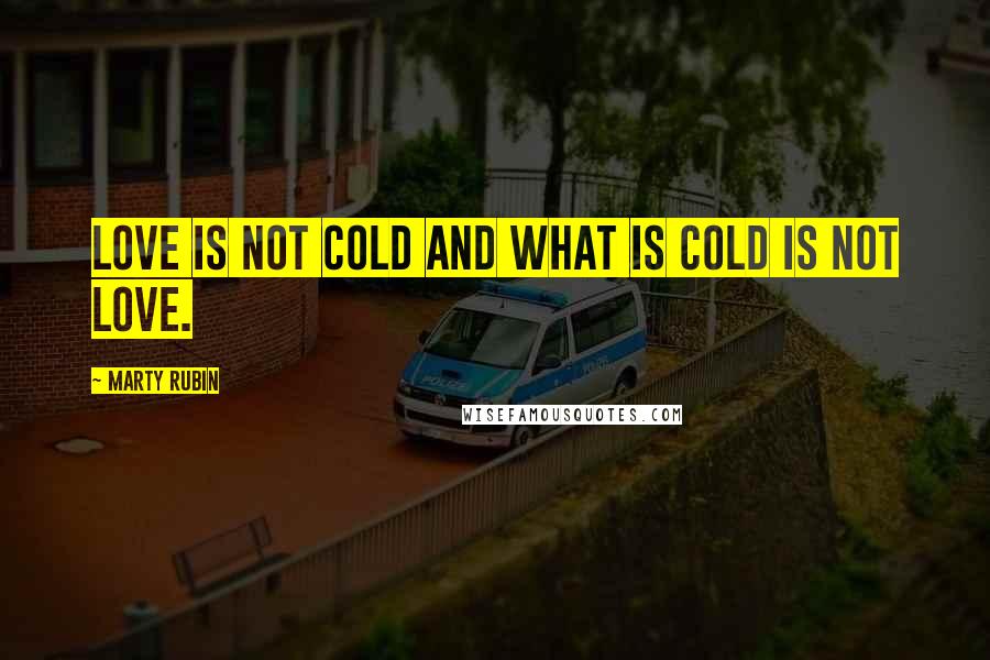 Marty Rubin Quotes: Love is not cold and what is cold is not love.