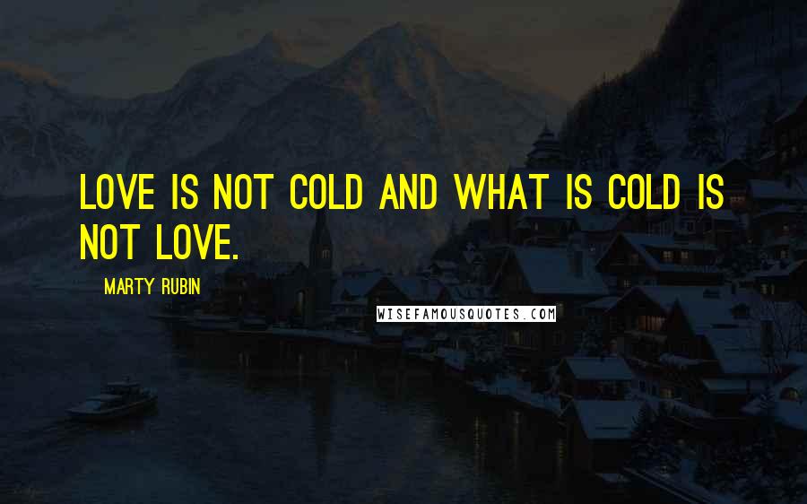 Marty Rubin Quotes: Love is not cold and what is cold is not love.