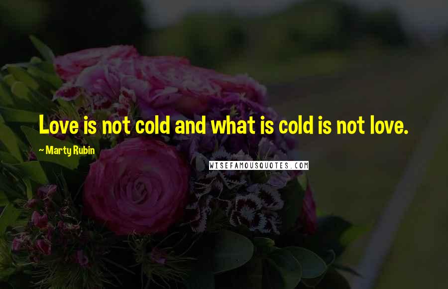 Marty Rubin Quotes: Love is not cold and what is cold is not love.