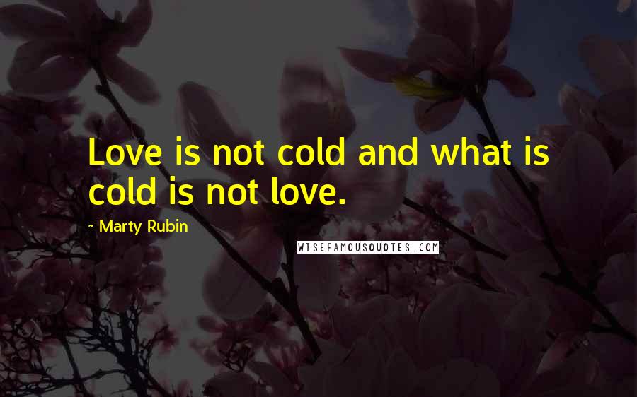 Marty Rubin Quotes: Love is not cold and what is cold is not love.
