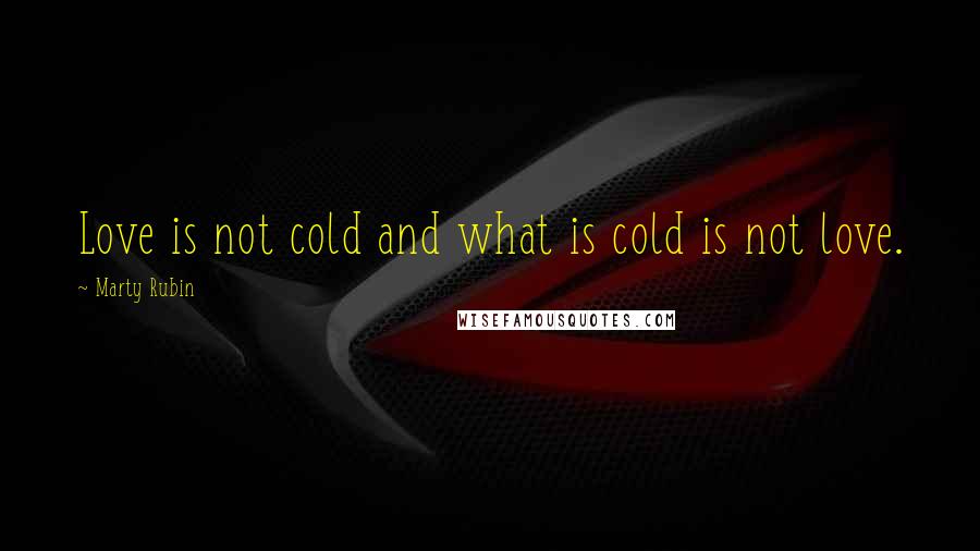 Marty Rubin Quotes: Love is not cold and what is cold is not love.