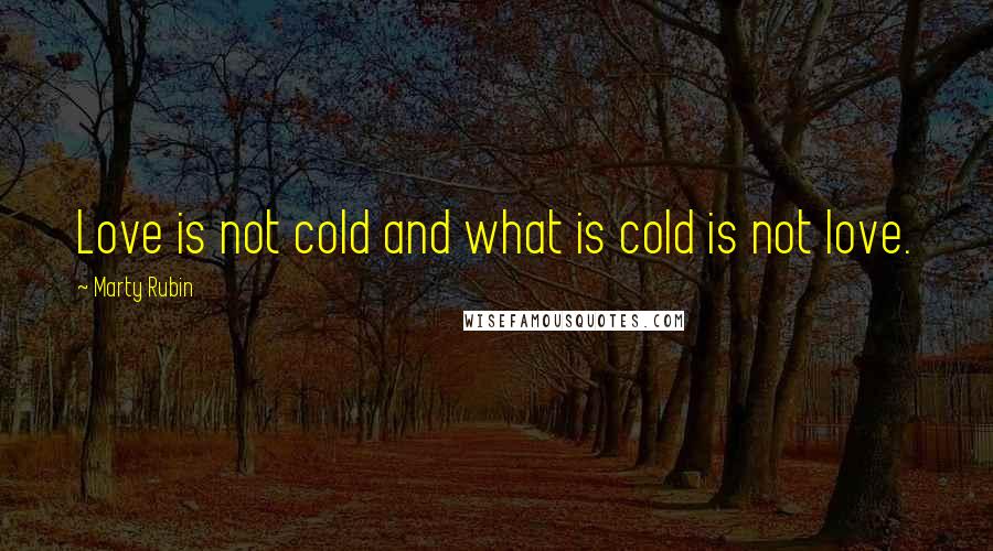 Marty Rubin Quotes: Love is not cold and what is cold is not love.
