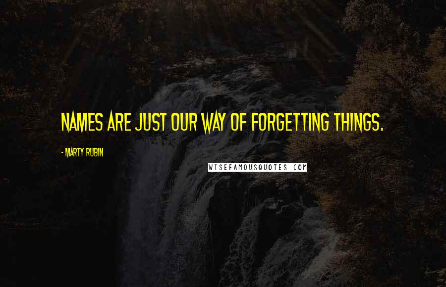 Marty Rubin Quotes: Names are just our way of forgetting things.