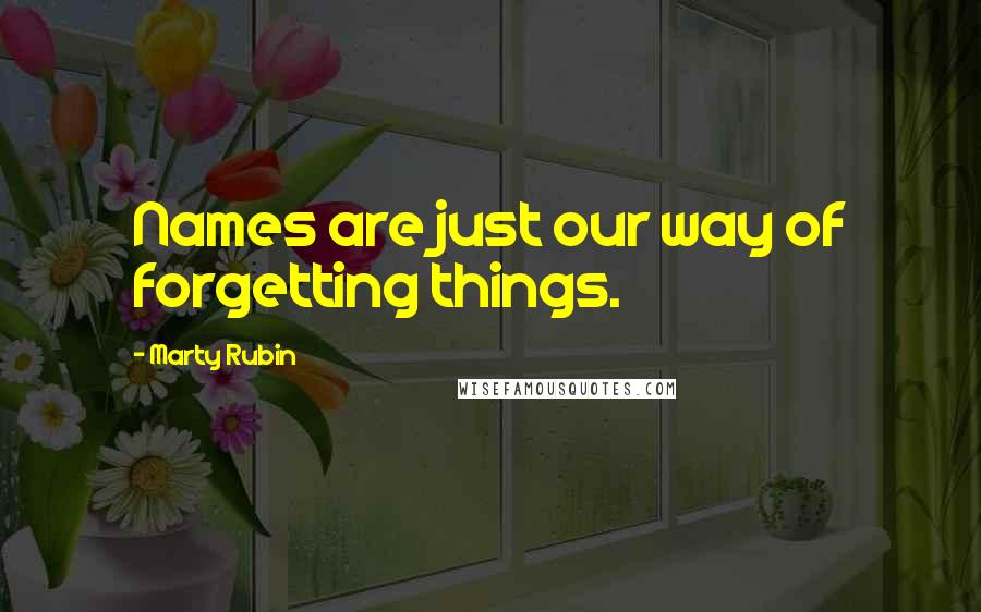 Marty Rubin Quotes: Names are just our way of forgetting things.