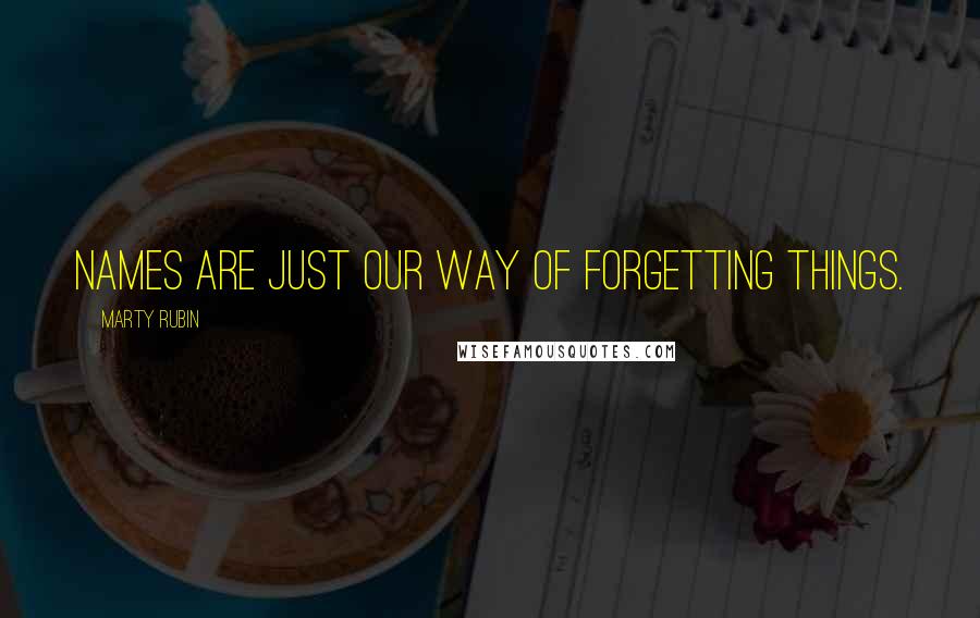 Marty Rubin Quotes: Names are just our way of forgetting things.