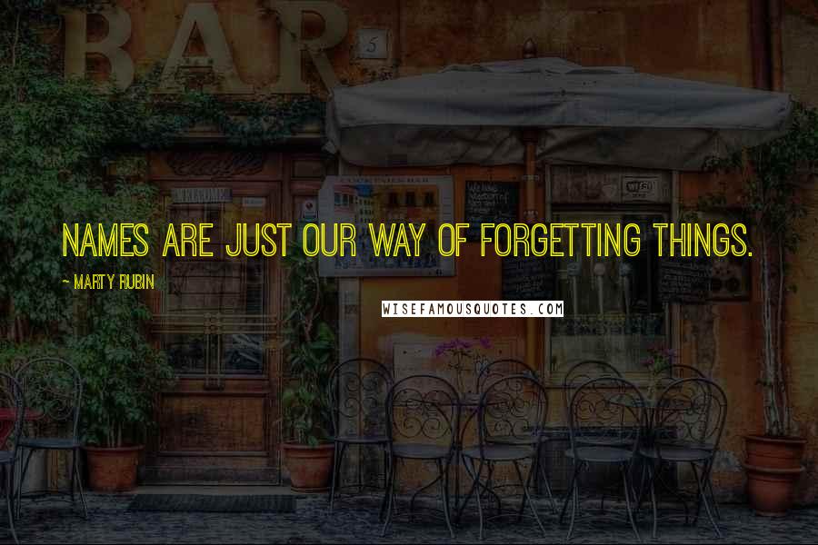 Marty Rubin Quotes: Names are just our way of forgetting things.