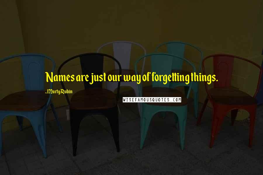 Marty Rubin Quotes: Names are just our way of forgetting things.