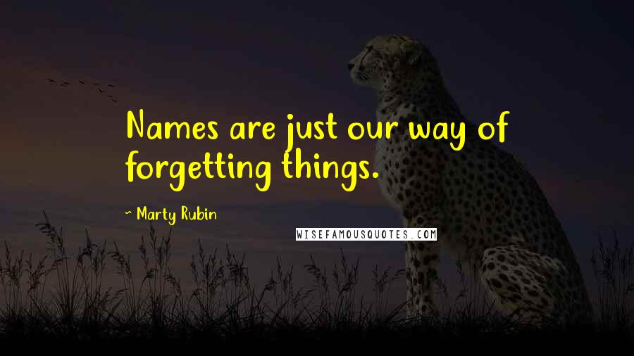 Marty Rubin Quotes: Names are just our way of forgetting things.