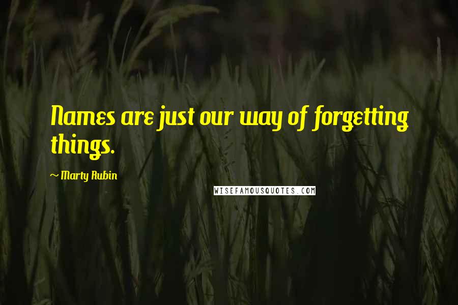 Marty Rubin Quotes: Names are just our way of forgetting things.