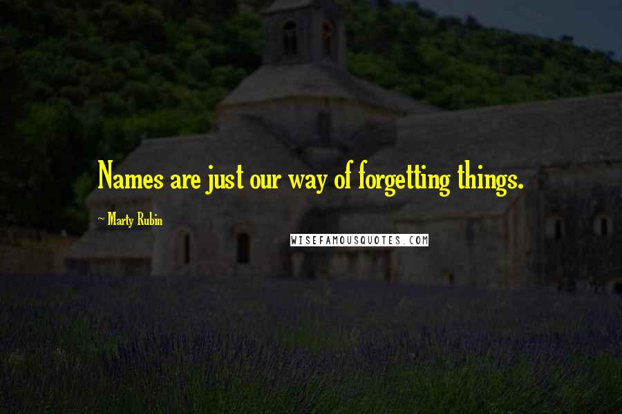 Marty Rubin Quotes: Names are just our way of forgetting things.