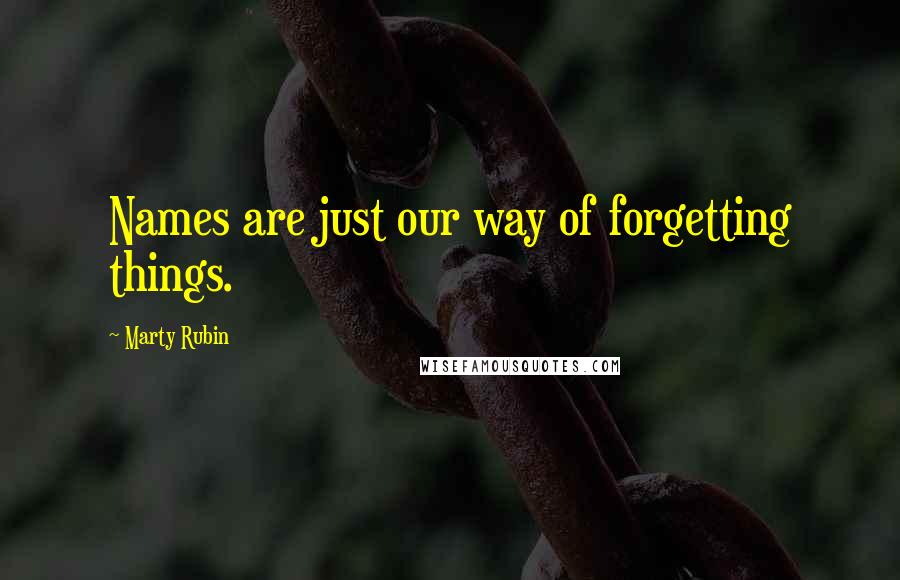 Marty Rubin Quotes: Names are just our way of forgetting things.