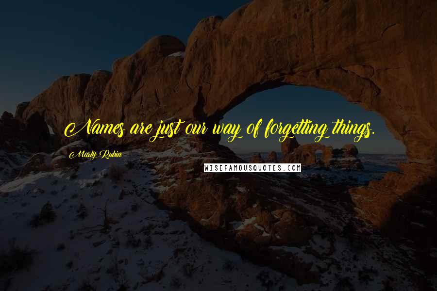 Marty Rubin Quotes: Names are just our way of forgetting things.