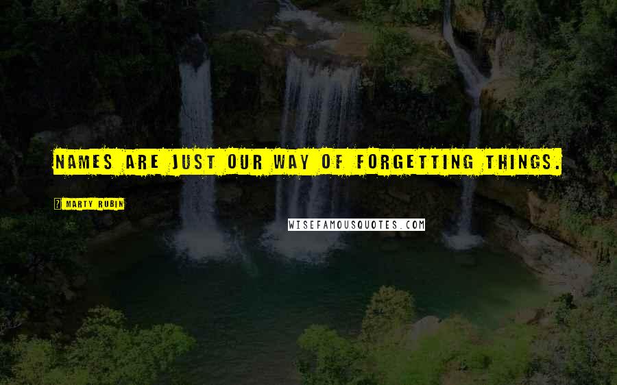 Marty Rubin Quotes: Names are just our way of forgetting things.