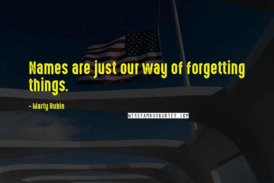 Marty Rubin Quotes: Names are just our way of forgetting things.