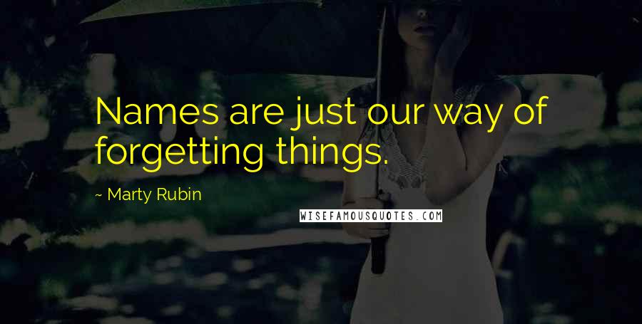 Marty Rubin Quotes: Names are just our way of forgetting things.