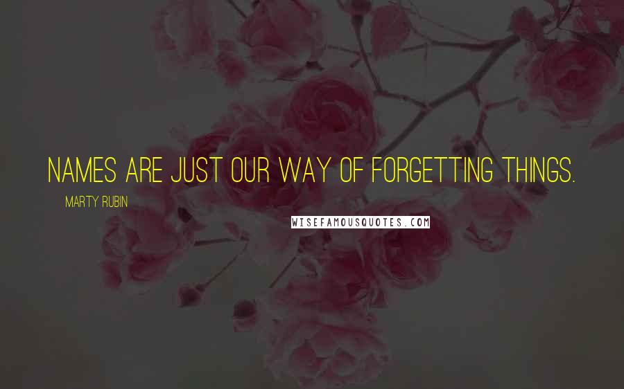 Marty Rubin Quotes: Names are just our way of forgetting things.