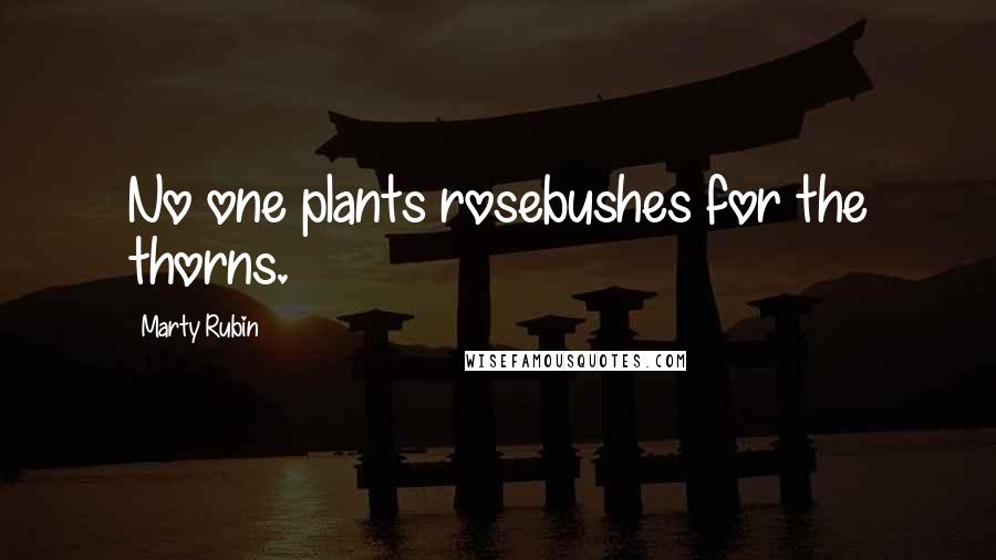 Marty Rubin Quotes: No one plants rosebushes for the thorns.