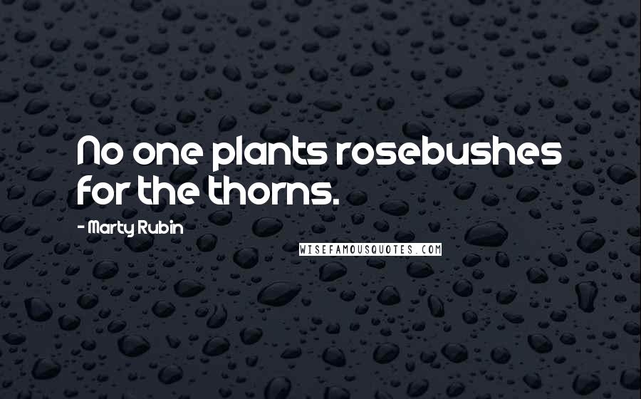 Marty Rubin Quotes: No one plants rosebushes for the thorns.