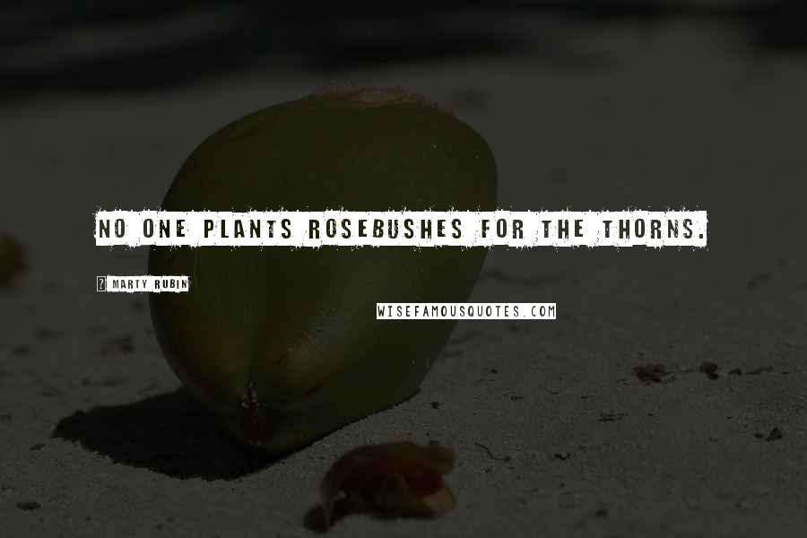 Marty Rubin Quotes: No one plants rosebushes for the thorns.