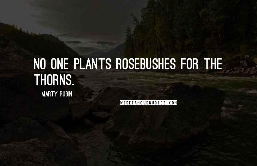 Marty Rubin Quotes: No one plants rosebushes for the thorns.