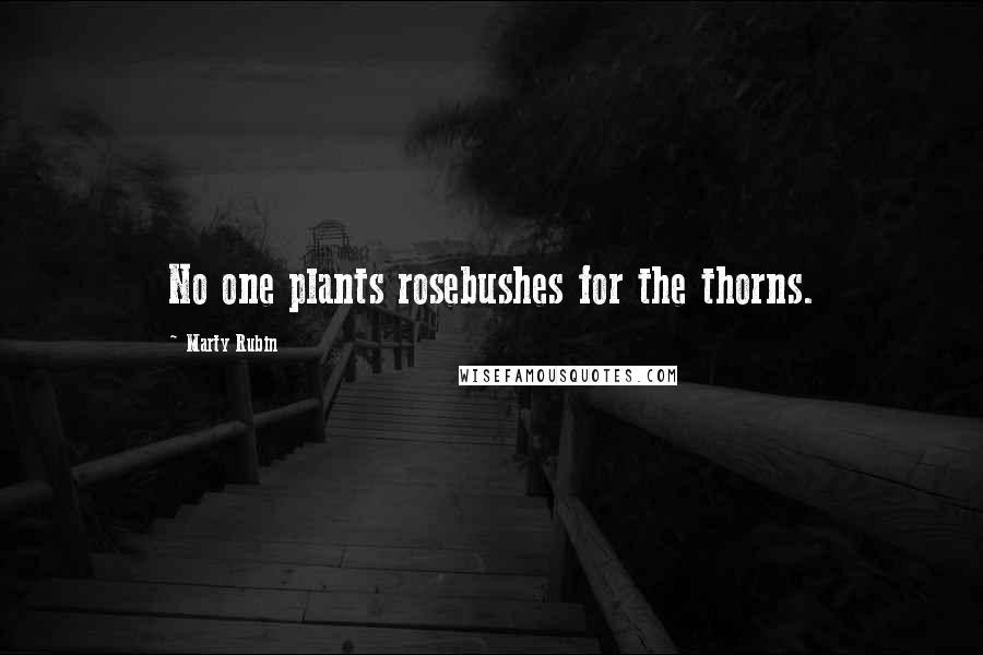 Marty Rubin Quotes: No one plants rosebushes for the thorns.