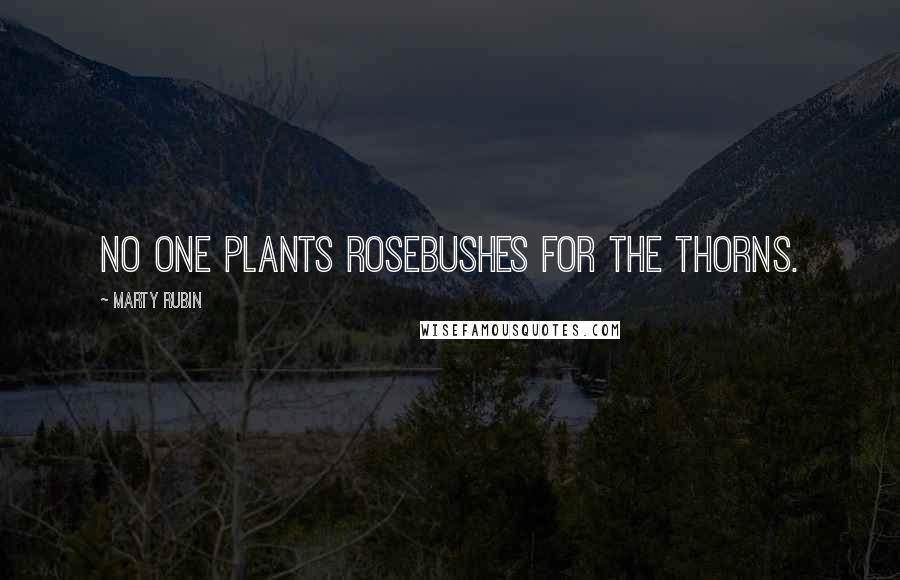 Marty Rubin Quotes: No one plants rosebushes for the thorns.